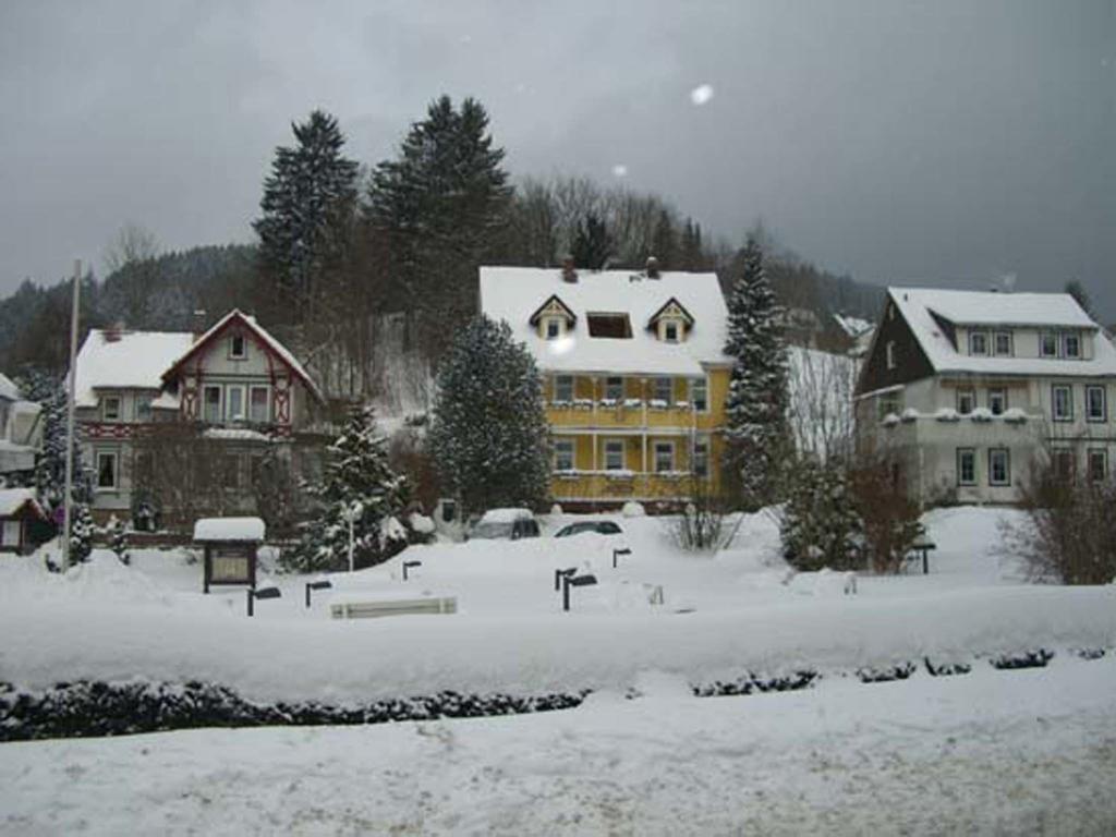 Erika'S Haus In Der Sonne Apartman Bad Grund Kültér fotó