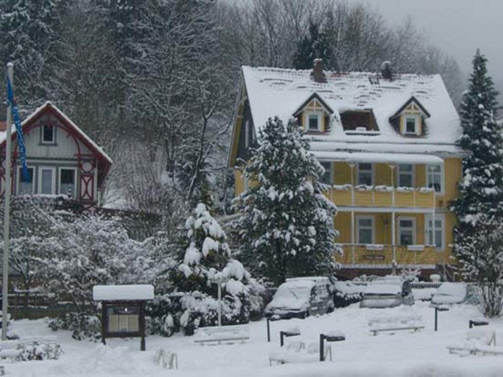 Erika'S Haus In Der Sonne Apartman Bad Grund Kültér fotó