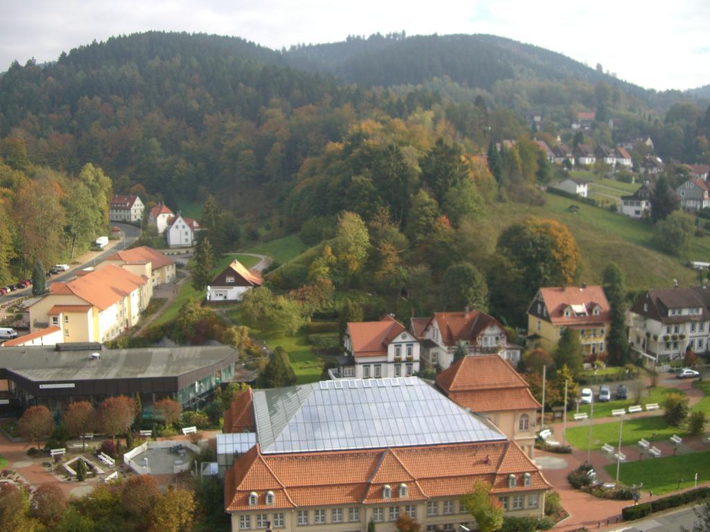 Erika'S Haus In Der Sonne Apartman Bad Grund Kültér fotó