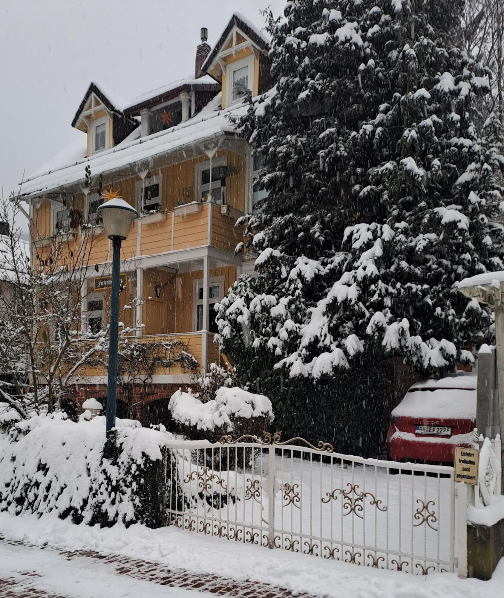 Erika'S Haus In Der Sonne Apartman Bad Grund Kültér fotó