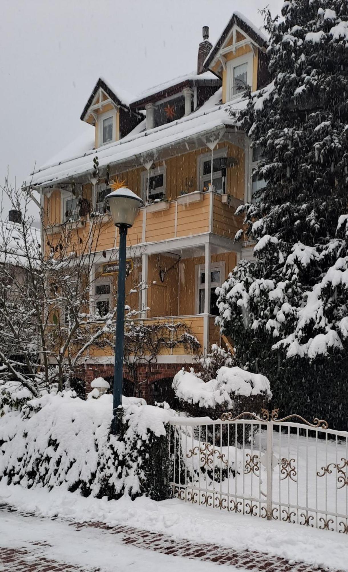 Erika'S Haus In Der Sonne Apartman Bad Grund Kültér fotó